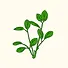 Artboard 6 1.webp