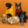 Todas as cachorras.png