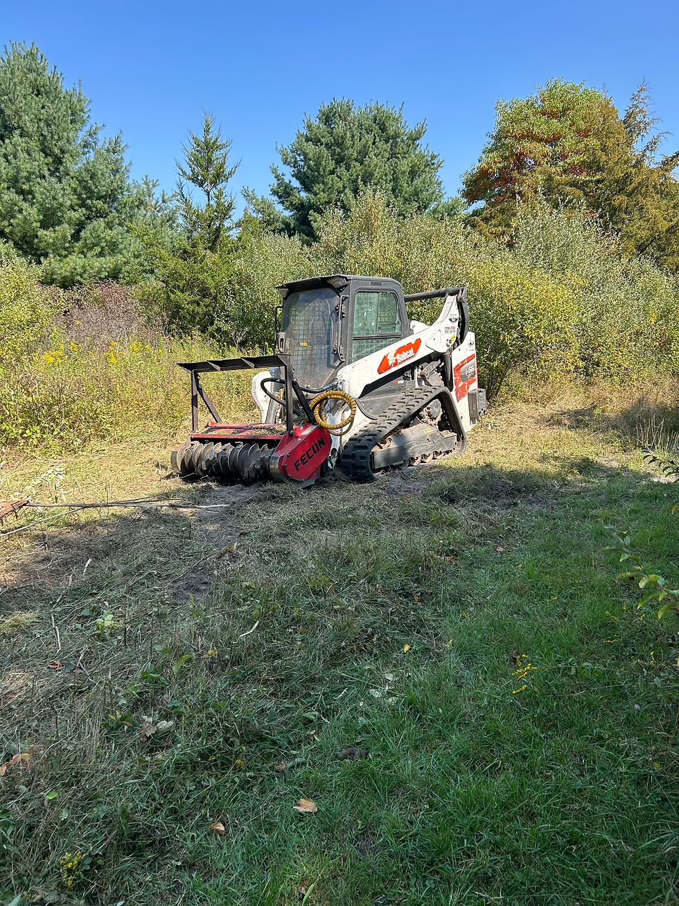 Forestry mulching