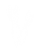 icono.png