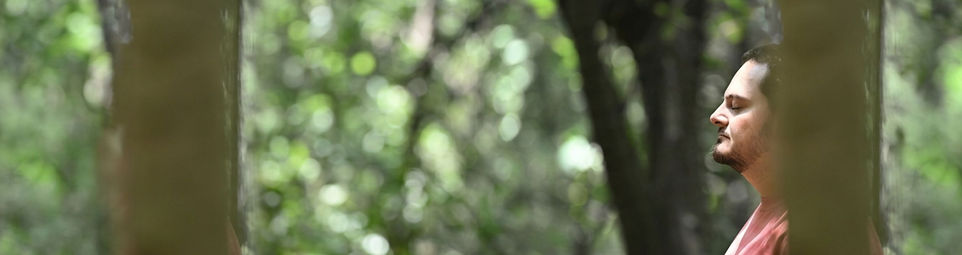 Banner (nosotros).jpg