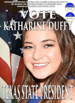 political advertisement