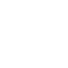 New Project.png