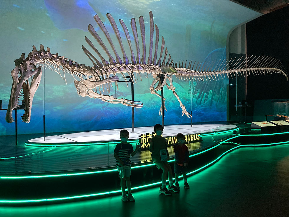 Dinosaur Exhibition in HK!