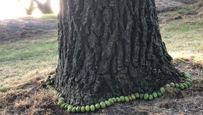 Sketches of LandArt - summer 2022