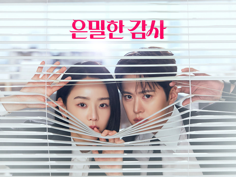 드라마 은밀한 감사