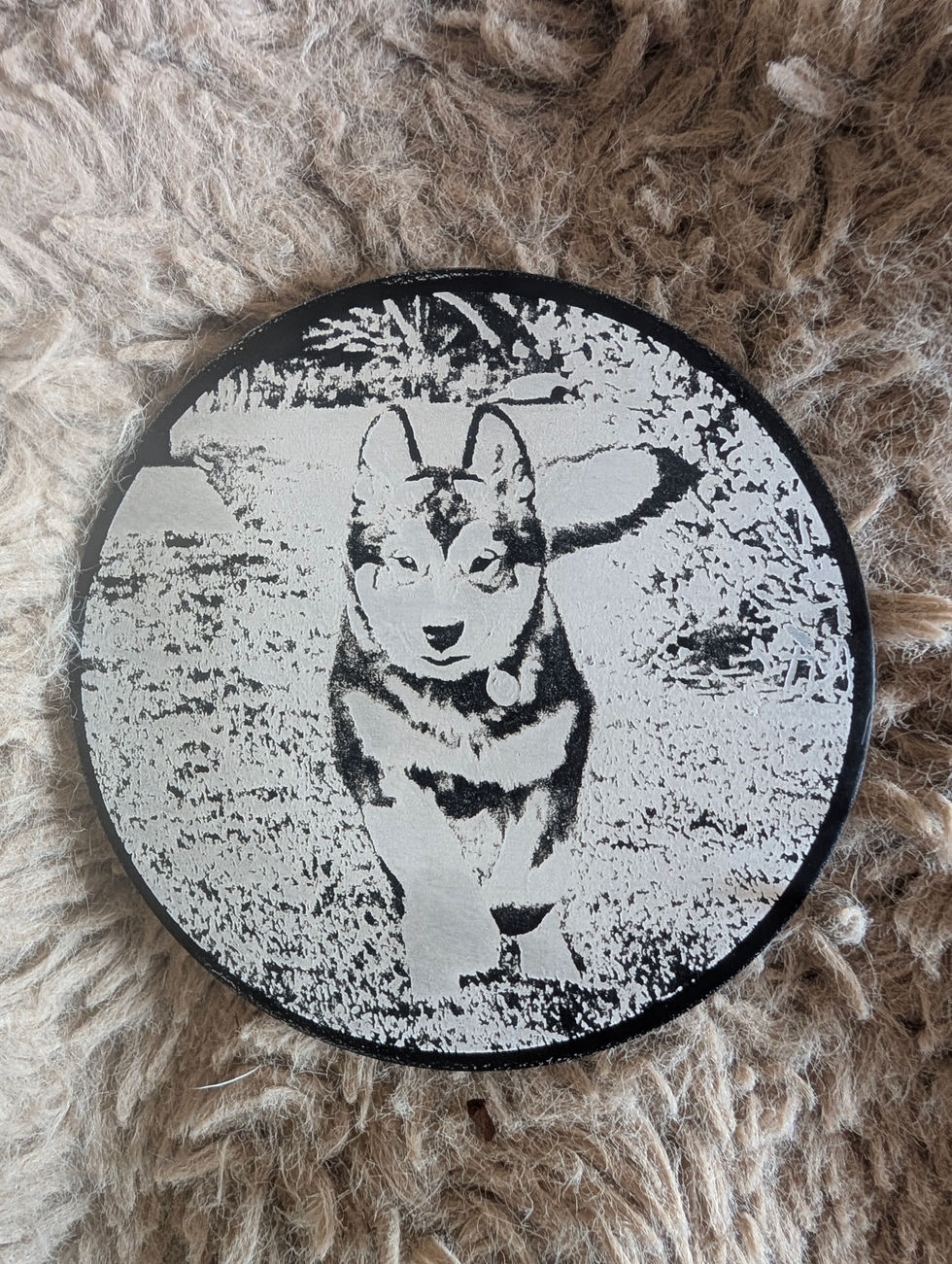 Puppy picture of Alaskan Malamute 'Jenson' on circular slate coaster.