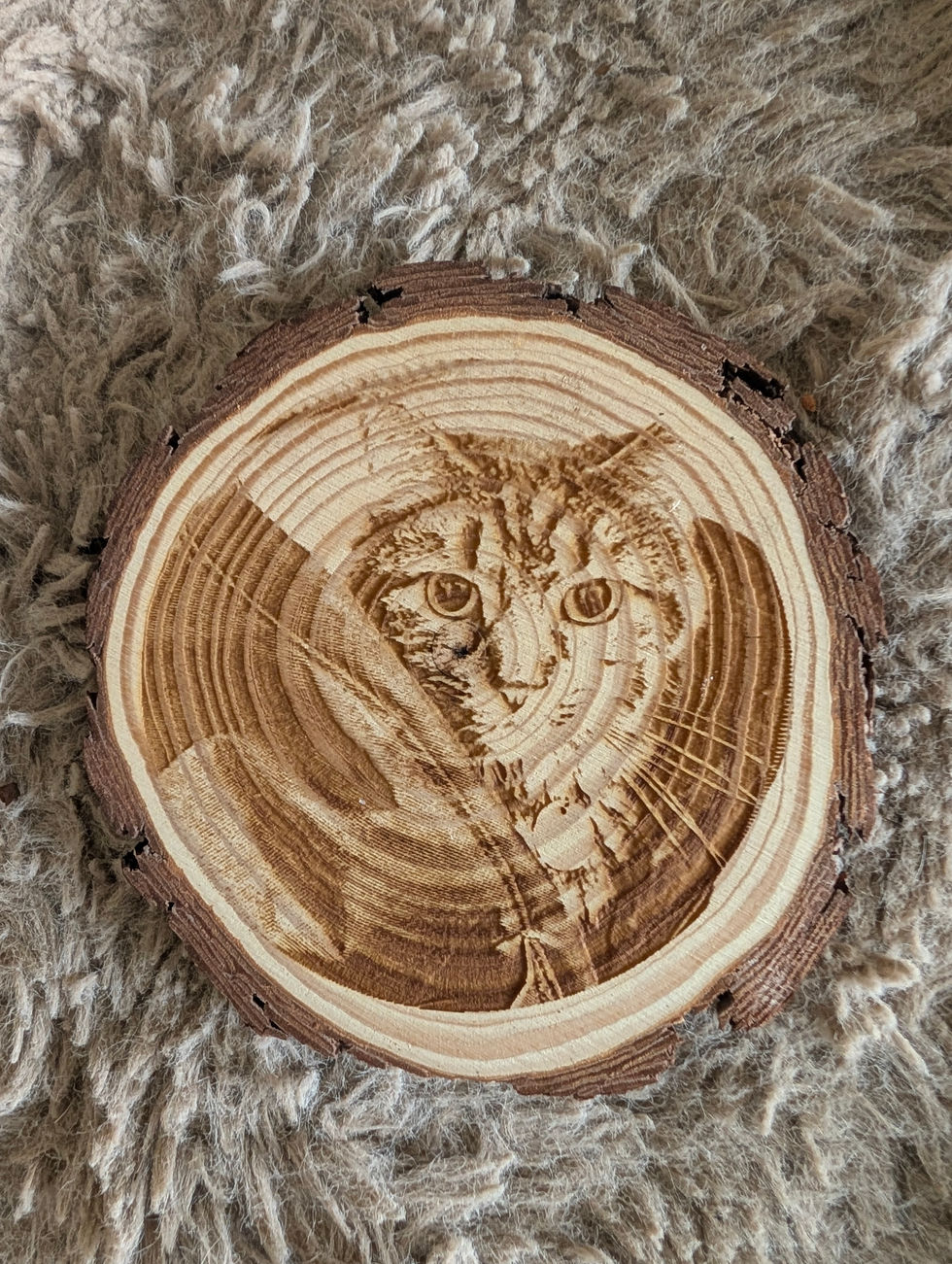 Cute cat 'Pippin' hiding in a bag on circular log slice coaster.