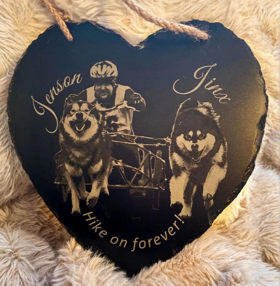 Racing image of sled dogs Jinx and Jenson (RIP) as a memorial hanger on a slate heart.