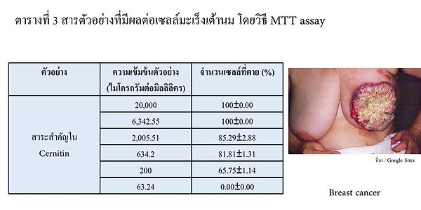 ตาราง3.jpg