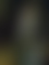 LA CARTA (Pedro Lira)