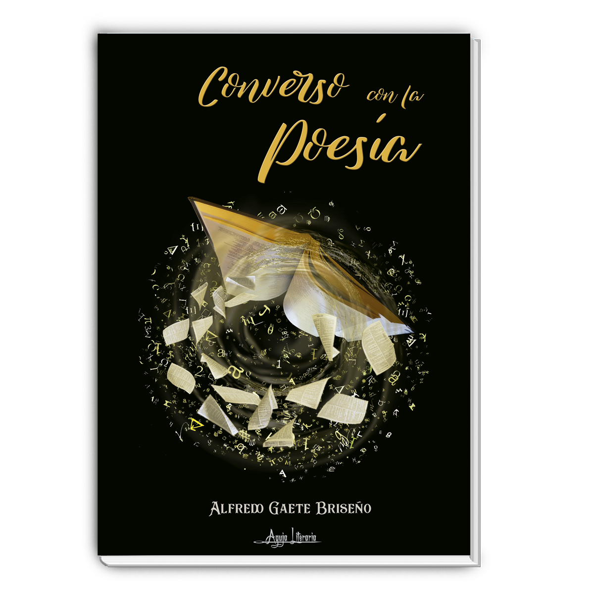 Converso con la Poesía