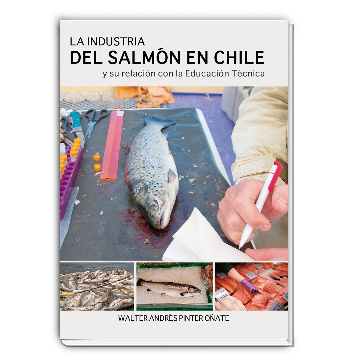 La Industria del Salmón en Chile