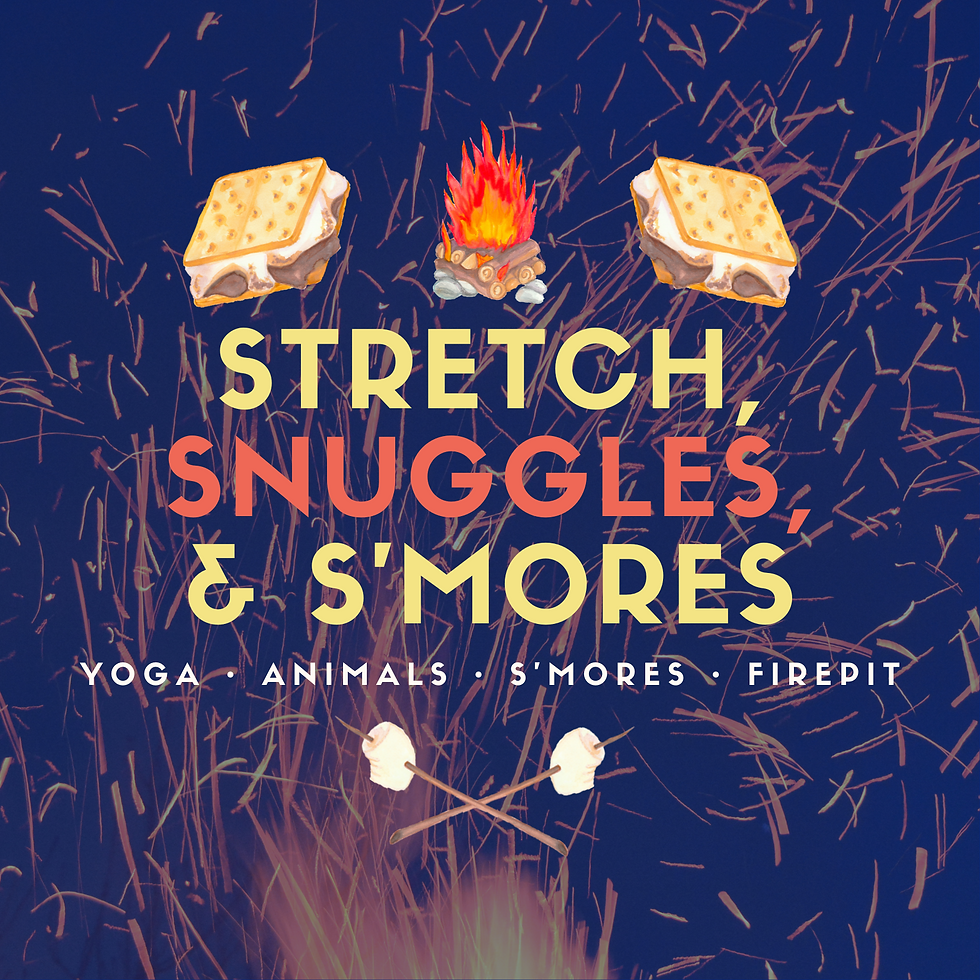 Stretch, Snuggles, and S'mores