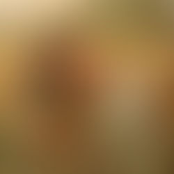 Day 78 Ruth 1-4 Ruth's loyalty; in Bethlehem she marries Boaz, David's kin