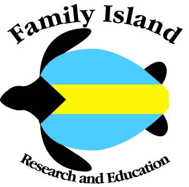 Bahamas Sea Turtle Research content media