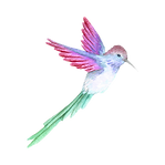 Logo Valentina_edited.png