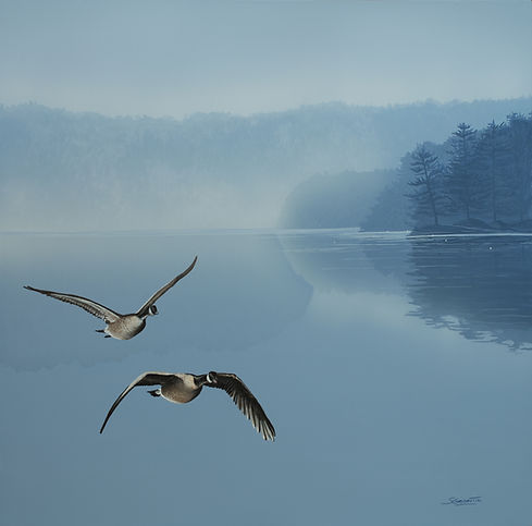 Canadian Geese-SG_2018300dpi.jpg