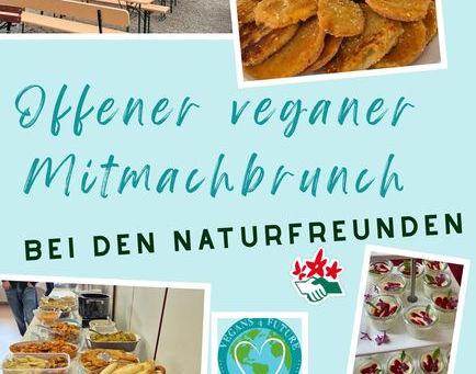 Sommerlicher Brunch bei den Naturfreunden