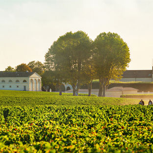 Vineyard scene with a distant chateau, vibrant green grapevines, and people walking along a path. Sunny ambiance, clear sky.
