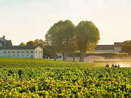 Vineyard scene with a distant chateau, vibrant green grapevines, and people walking along a path. Sunny ambiance, clear sky.