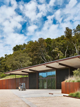 "Panoramic view of Saxum Vineyards with lush grapevines under the warm California sun, showcasing the picturesque rolling hills of the Paso Robles wine region."