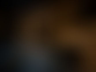 Luxurious bar interior with dark velvet seating, gold accents, and illuminated liquor shelves. Warm ambient lighting creates an elegant mood.