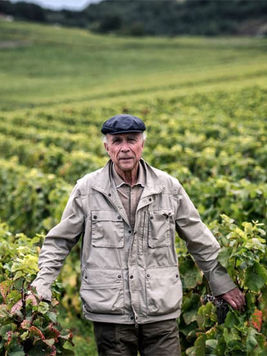 Sunset over the rolling vineyards of Domaine Henri Jayer with a picturesque view of the estate's classic French architecture