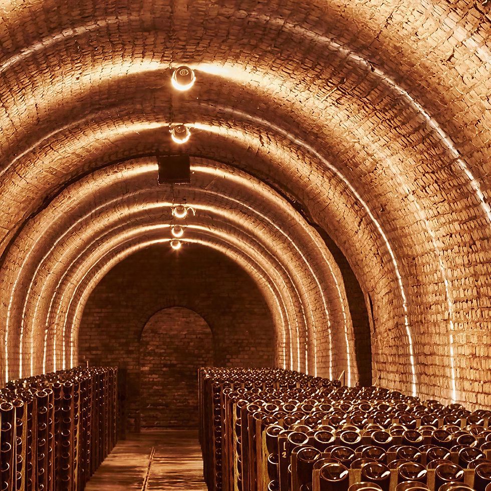 Illuminated brick wine cellar with rows of stacked bottles. Warm lighting creates a cozy atmosphere, highlighting the arched ceiling.