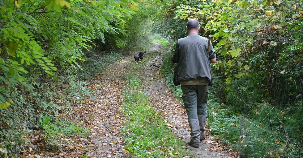 A truffle hunter walking through the forest with his dog