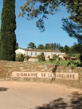 Row of lush green vines at Domaine de la Sangliere under a clear blue sky with the estate in the background