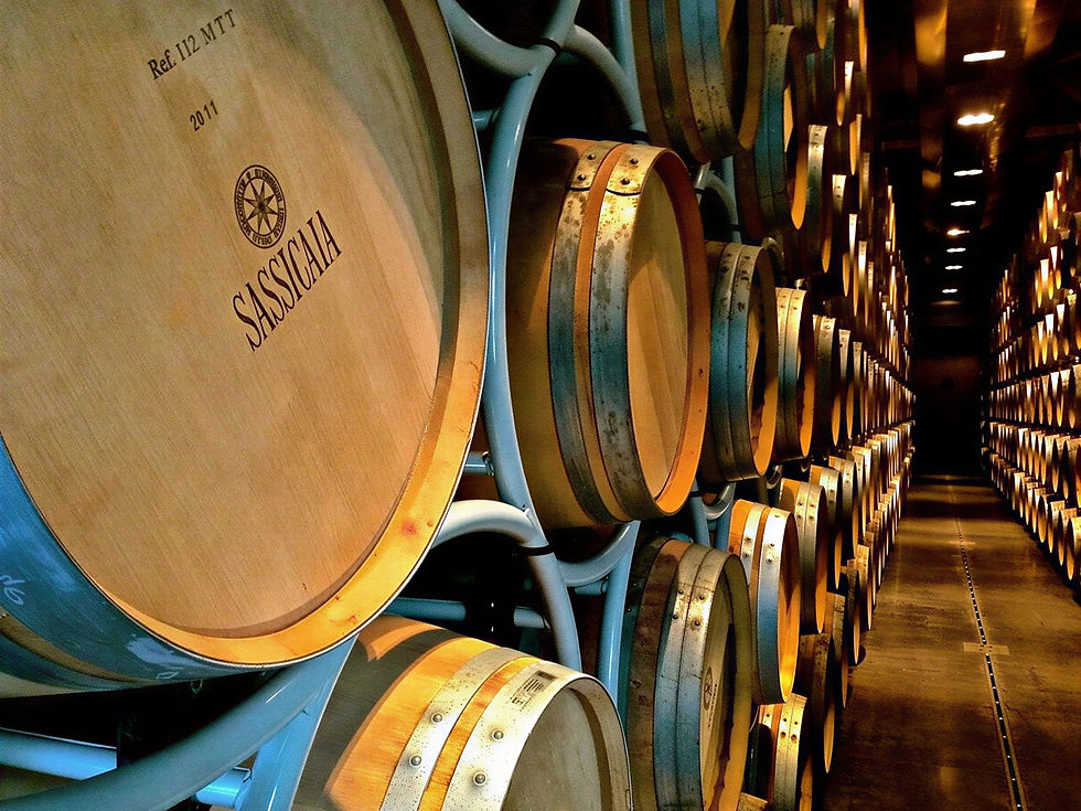 Wooden barrels labeled Sassicaia, stacked in dimly lit cellar with rows extending into distance. Warm tones create a historic, aged mood.