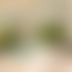 Outdoor pool scene beside beige walls, with lounge chairs and teal cushions. A hammock is draped between trees, surrounded by lush greenery.