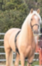 facebook_1733417296187_7270479099069103426