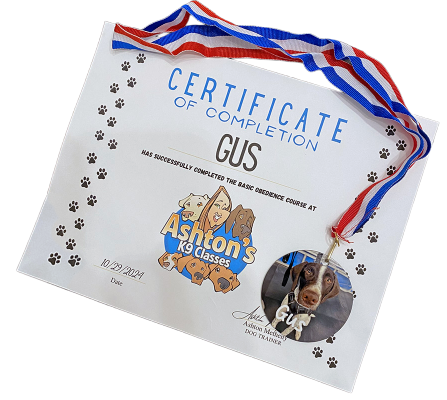 A certificate of Level 1 Obedience completion and medal for a dog named Gus.