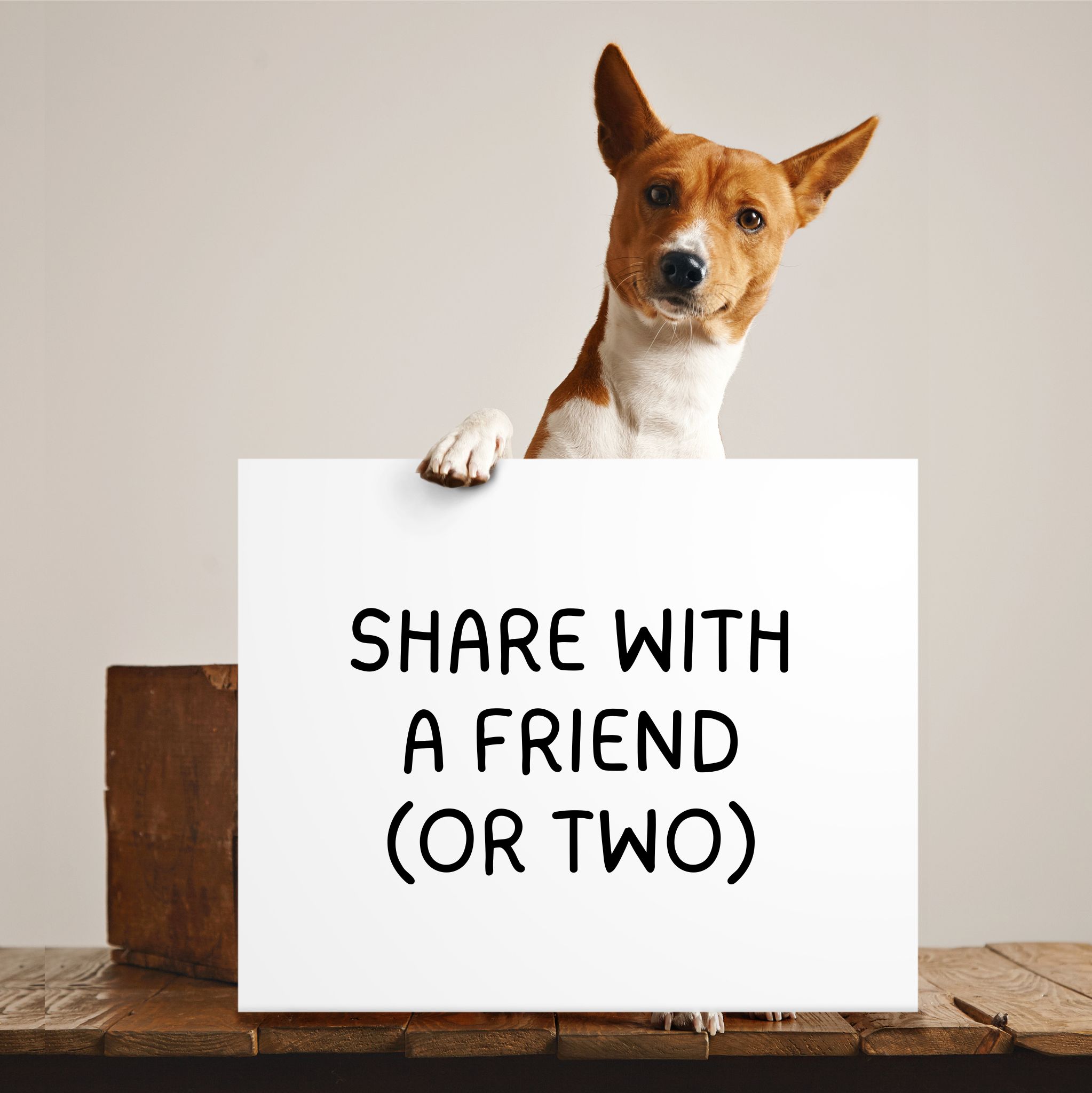 A dog stands behind a sign that says "Share with a friend (or two)."