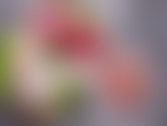 A selection of raw meats on display.