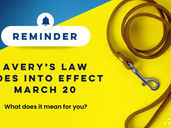 REMINDER: Avery's Law goes into effect March 20. What does it mean for you?