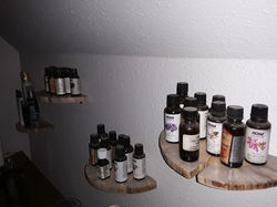 Added custom beetle kill shelves