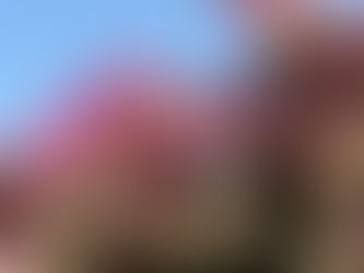 Mic ghid de tratat viitorul