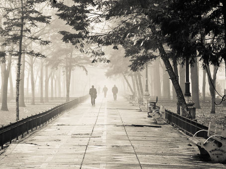 Despre ceață și carpe diem