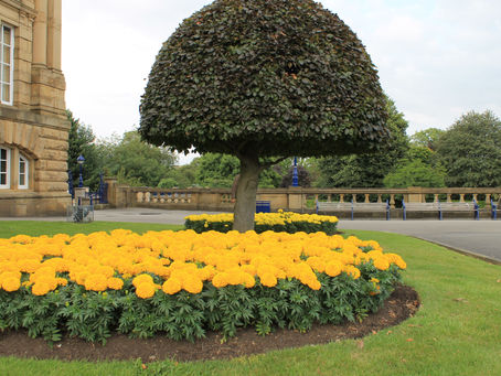 Jurnal de Bradford