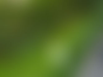 Printre privilegiații planetei