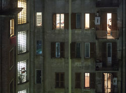 Windows | 08
