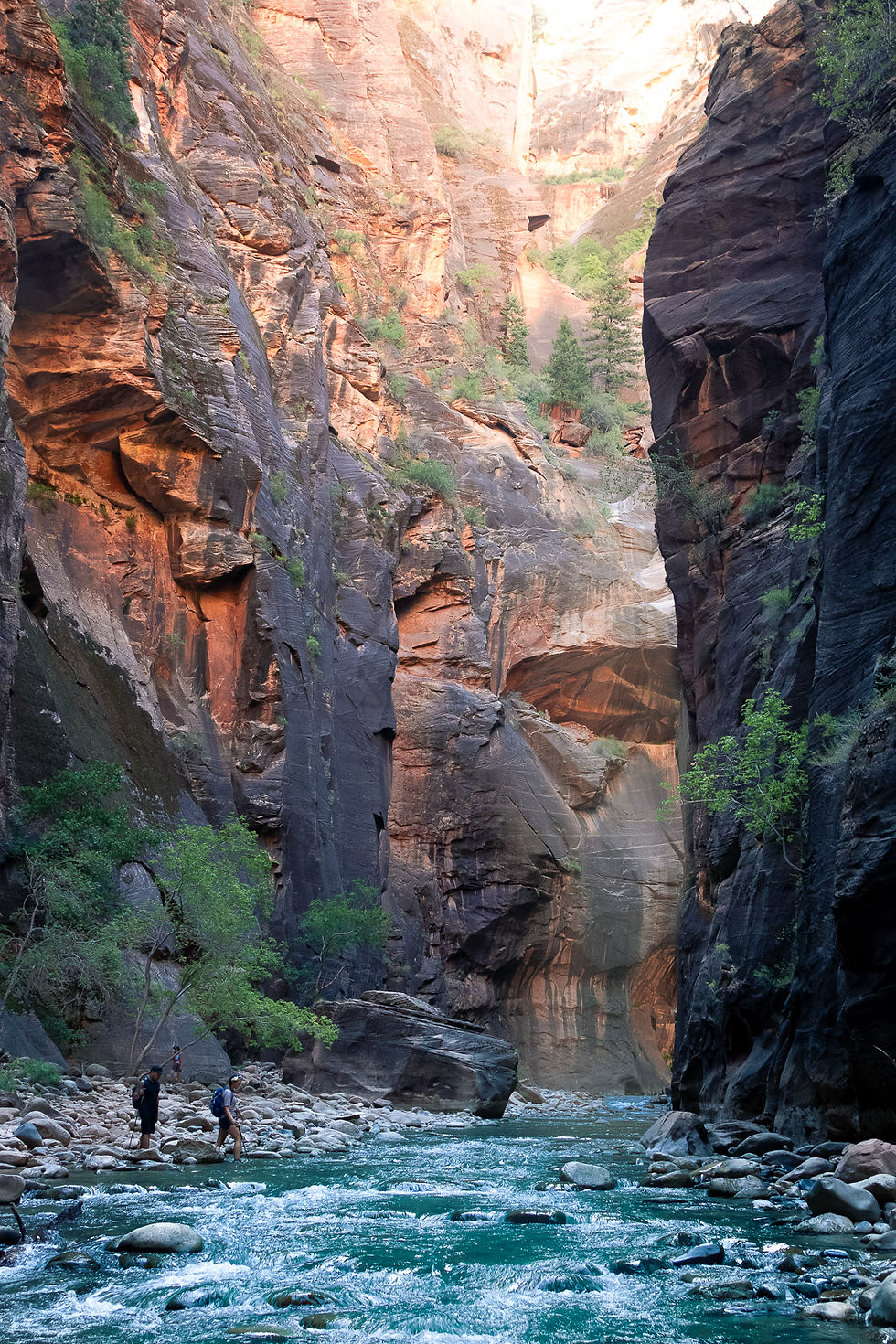 The Narrows in Zion National Park