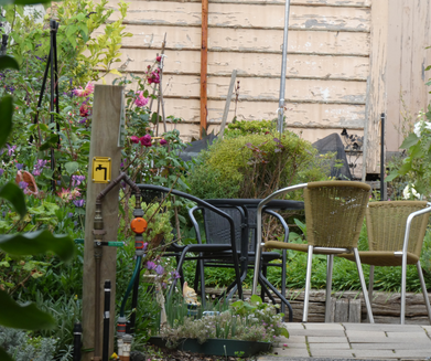 Community Garden at the Shop of Opportunities Emerald VIC