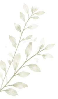 MoveCare_葉っぱ_左_透明.png