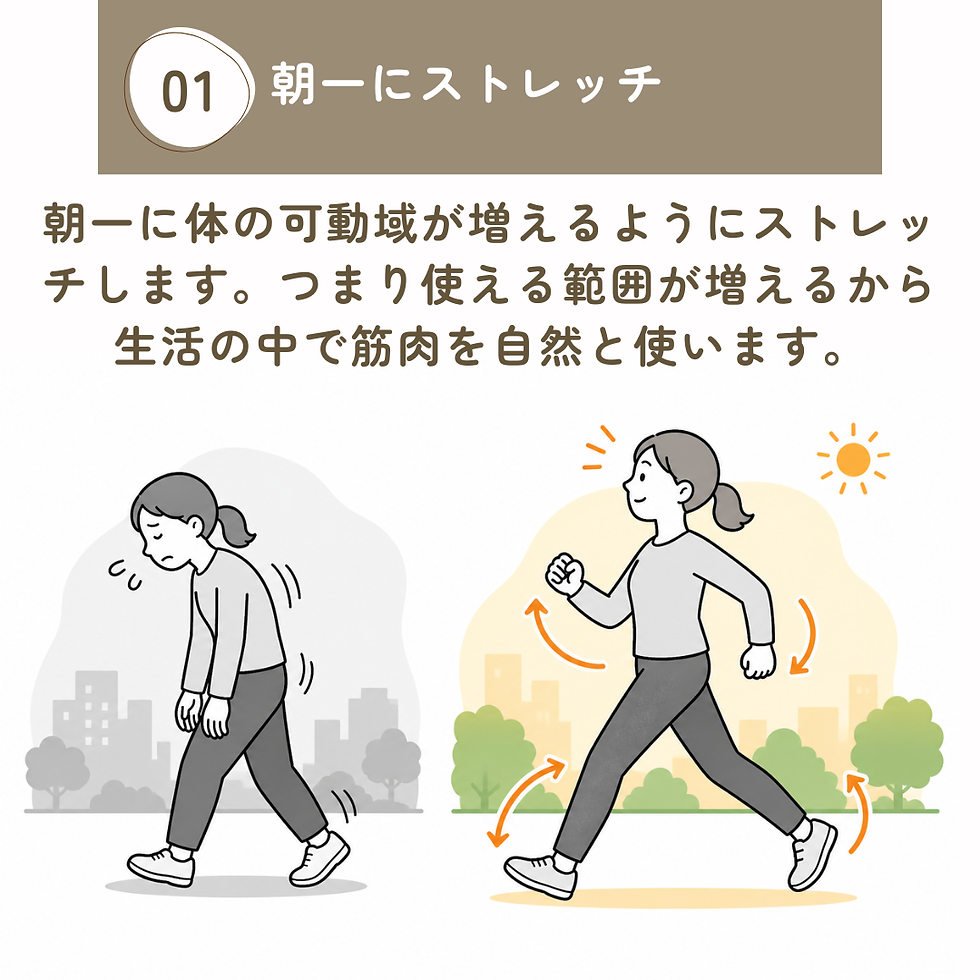 牧之原市でストレッチやフィットネスを始めたい方向けに朝の運動習慣を解説するMoveCare画像