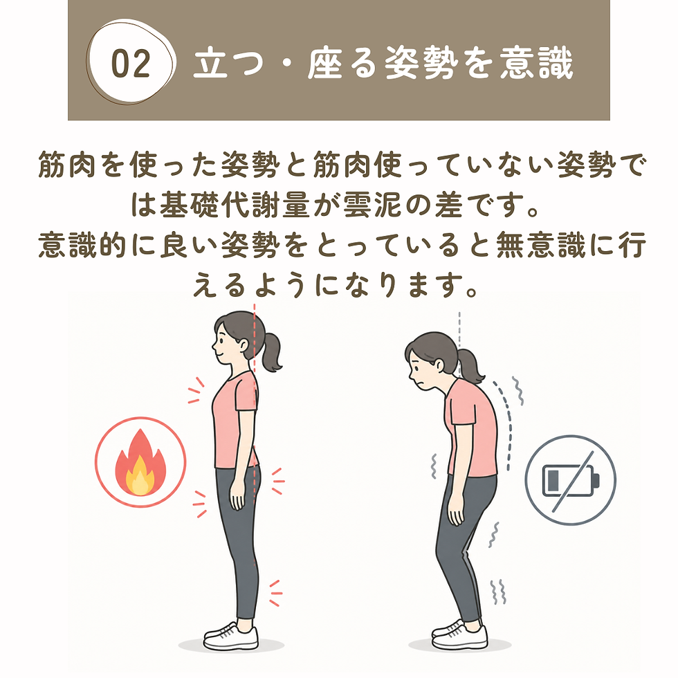 牧之原市のMoveCareが姿勢改善、肩こり腰痛予防、基礎代謝の関係を解説する画像