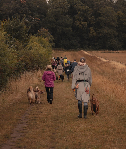 structured group walks.jpg